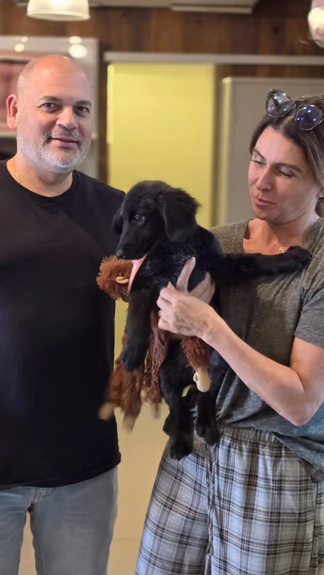 Exemplo de pet aniversariante
