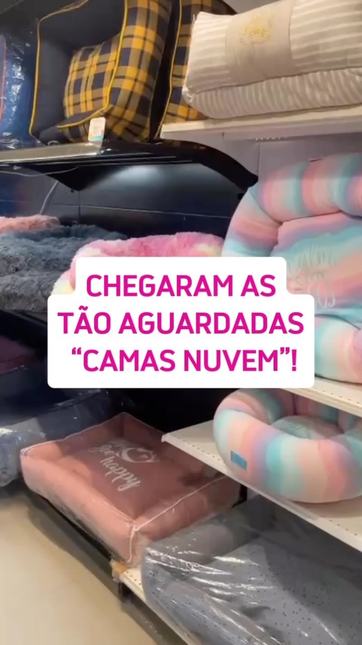 Camas e acessórios expostos na boutique Via Pet